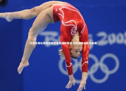 熊猫app官方网站-守望先锋玩家热议坦克角色辅助需求 团队协作成胜负关键